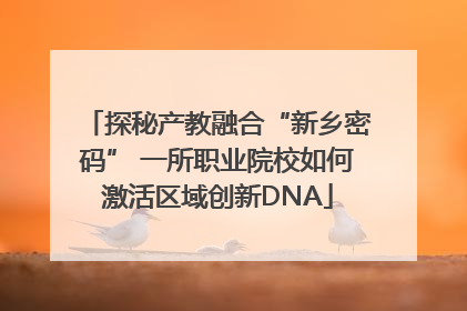 探秘产教融合“新乡密码” 一所职业院校如何激活区域创新DNA