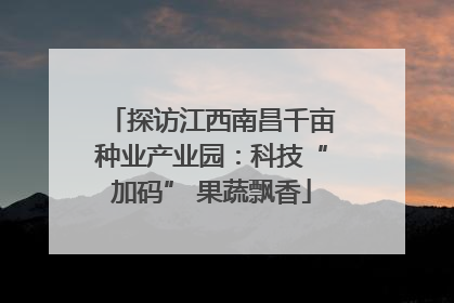探访江西南昌千亩种业产业园：科技“加码” 果蔬飘香