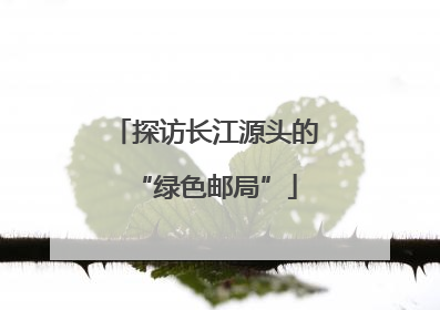 探访长江源头的“绿色邮局”