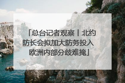 总台记者观察丨北约防长会拟加大防务投入 欧洲内部分歧难掩