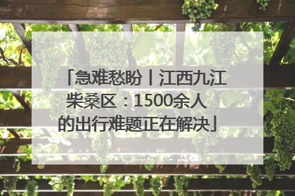 急难愁盼丨江西九江柴桑区：1500余人的出行难题正在解决