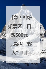 急！神农架景区：日薪500元，急招“野人”！
