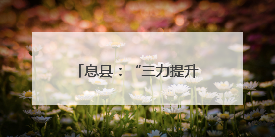 息县：“三力提升”工程 激发民营经济发展新动能