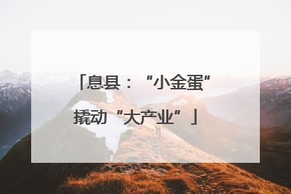 息县：“小金蛋”撬动“大产业”
