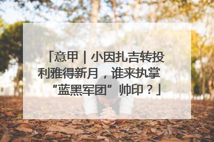 意甲｜小因扎吉转投利雅得新月，谁来执掌“蓝黑军团”帅印？
