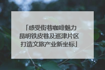 感受街巷咖啡魅力 昆明铁皮巷及巡津片区打造文旅产业新坐标
