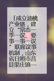 成立油桃产业链，建立“常态一季一议、要事一事一议”联席议事机制，山东省日照市莒县果庄镇——13个党小组“全周期”育果