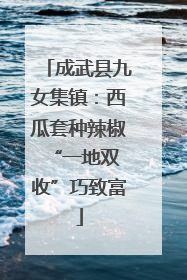 成武县九女集镇：西瓜套种辣椒 “一地双收”巧致富