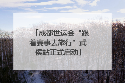成都世运会“跟着赛事去旅行”武侯站正式启动