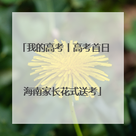 我的高考丨高考首日 海南家长花式送考