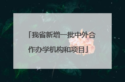 我省新增一批中外合作办学机构和项目