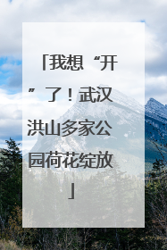 我想“开”了！武汉洪山多家公园荷花绽放