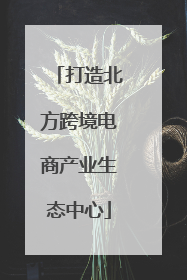 打造北方跨境电商产业生态中心