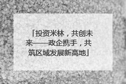 投资米林，共创未来——政企携手，共筑区域发展新高地