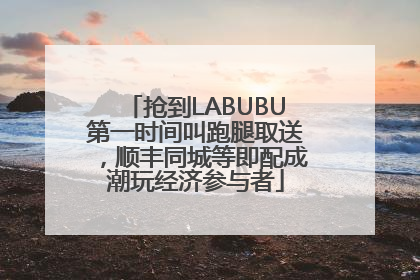 抢到LABUBU第一时间叫跑腿取送，顺丰同城等即配成潮玩经济参与者