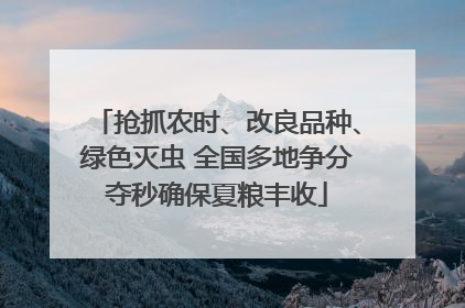 抢抓农时、改良品种、绿色灭虫 全国多地争分夺秒确保夏粮丰收