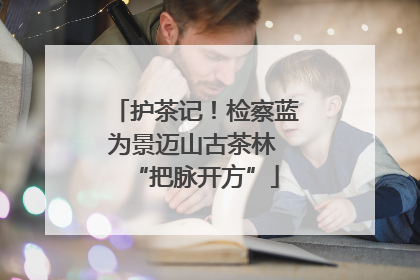 护茶记！检察蓝为景迈山古茶林 “把脉开方”