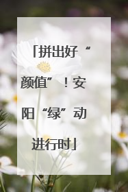 拼出好“颜值”！安阳“绿”动进行时