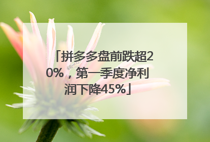 拼多多盘前跌超20%，第一季度净利润下降45%