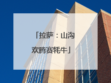 拉萨：山沟欢腾赛牦牛