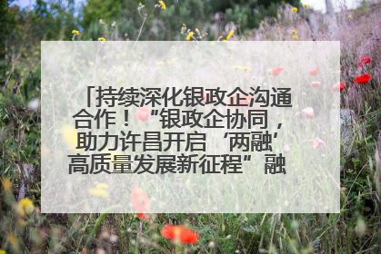 持续深化银政企沟通合作！“银政企协同，助力许昌开启‘两融’高质量发展新征程”融资对接会举行
