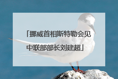 挪威首相斯特勒会见中联部部长刘建超