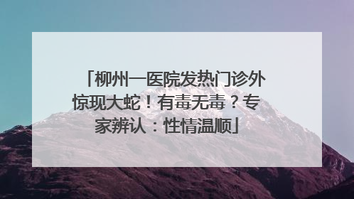 柳州一医院发热门诊外惊现大蛇！有毒无毒？专家辨认：性情温顺