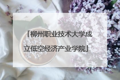 柳州职业技术大学成立低空经济产业学院