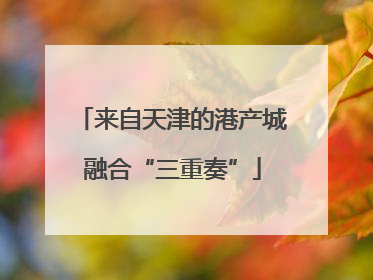 来自天津的港产城融合“三重奏”