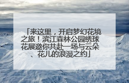 来这里，开启梦幻花境之旅！滨江森林公园绣球花展邀你共赴一场与云朵、花儿的浪漫之约