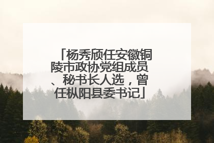 杨秀颀任安徽铜陵市政协党组成员、秘书长人选，曾任枞阳县委书记