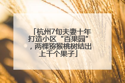 杭州7旬夫妻十年打造小区“百果园”，两棵猕猴桃树结出上千个果子