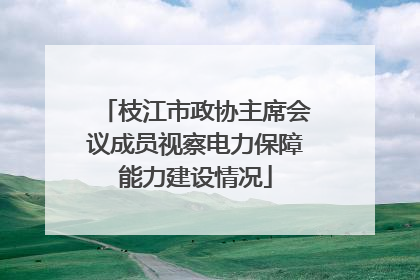 枝江市政协主席会议成员视察电力保障能力建设情况