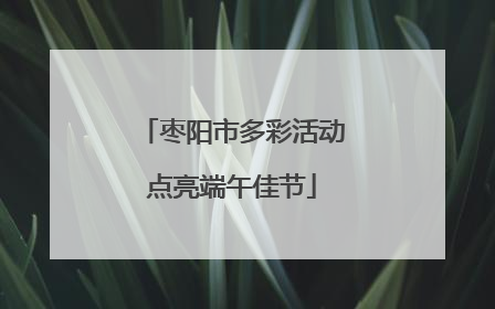 枣阳市多彩活动点亮端午佳节