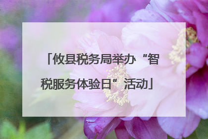 攸县税务局举办“智税服务体验日”活动