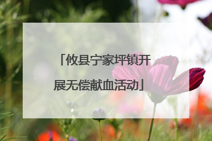攸县宁家坪镇开展无偿献血活动