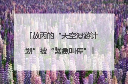 敖丙的“天空漫游计划”被“紧急叫停”