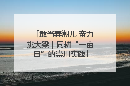 敢当弄潮儿 奋力挑大梁｜同耕“一亩田”的崇川实践