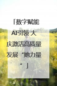 数字赋能 AI引领 大庆激活高质量发展“她力量”