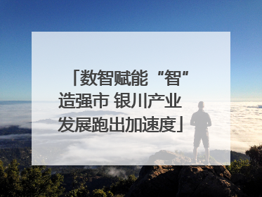 数智赋能“智”造强市 银川产业发展跑出加速度
