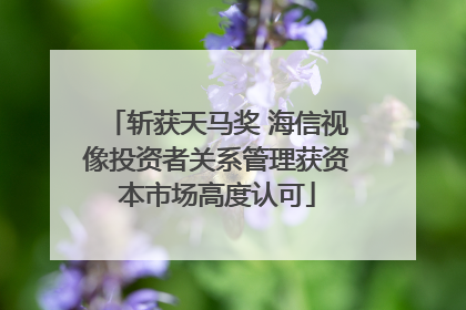 斩获天马奖 海信视像投资者关系管理获资本市场高度认可