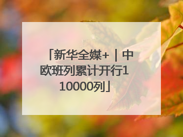 新华全媒+｜中欧班列累计开行110000列