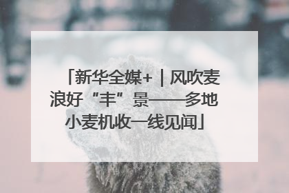 新华全媒+｜风吹麦浪好“丰”景——多地小麦机收一线见闻