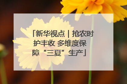 新华视点｜抢农时 护丰收 多维度保障“三夏”生产