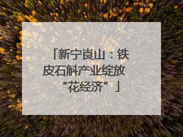 新宁崀山：铁皮石斛产业绽放“花经济”