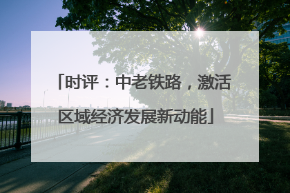 时评：中老铁路，激活区域经济发展新动能