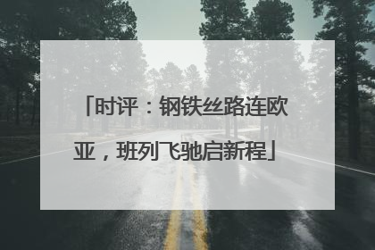 时评：钢铁丝路连欧亚，班列飞驰启新程