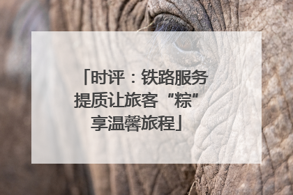 时评：铁路服务提质让旅客“粽”享温馨旅程