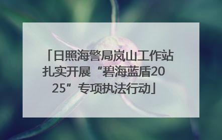 日照海警局岚山工作站扎实开展“碧海蓝盾2025”专项执法行动