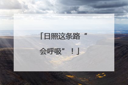 日照这条路“会呼吸”！